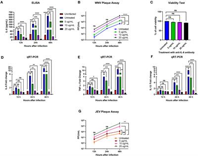 The critical role of interleukin-6 in protection against neurotropic flavivirus infection